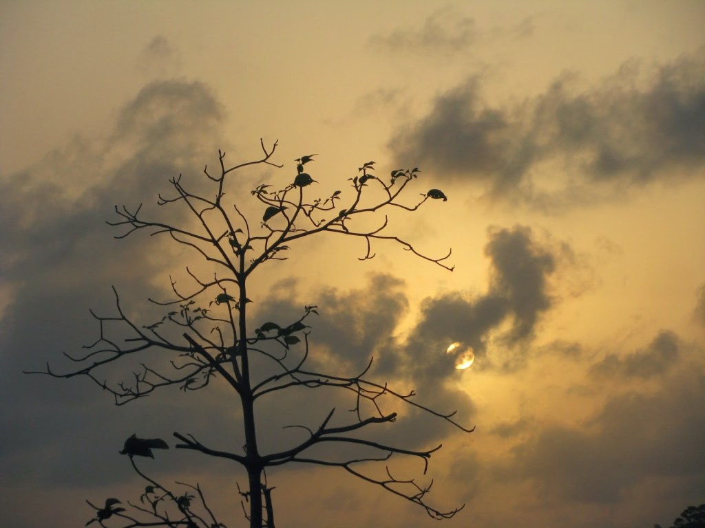 Chidiya Tapu, South&nbsp;Andaman